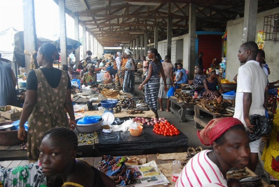 Hausse du prix du poisson /Cherif Amadou, Importateur: